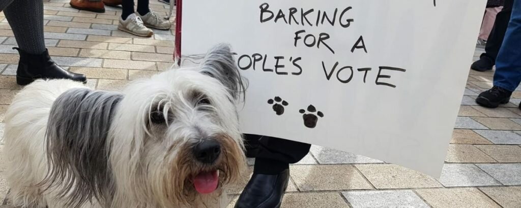 Dog on People's Vote march